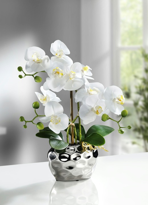 Cadeau-ideeën - Orchidee in pot, in Farbe ZILVER