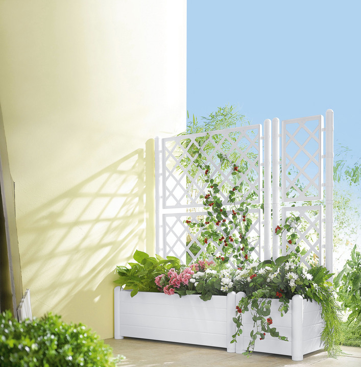 Zonwering - Plantenbak met traliewand, in Farbe WIT, in Ausführung Plantenbak klein Ansicht 1