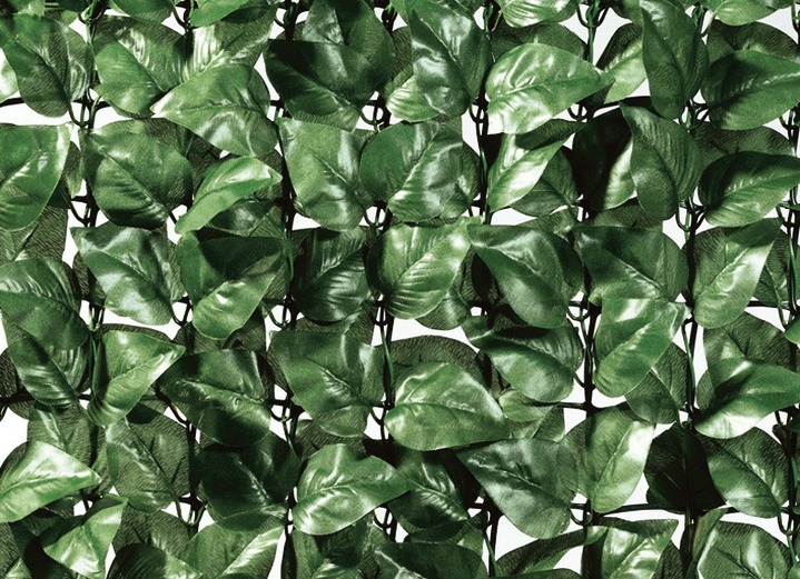 Zonwering - Praktisch privacyscherm van stevig kunststofgaas, in Farbe GROEN, in Ausführung Laurier Ansicht 1