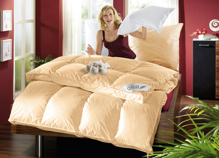 OBB-assortiment donzen beddengoed