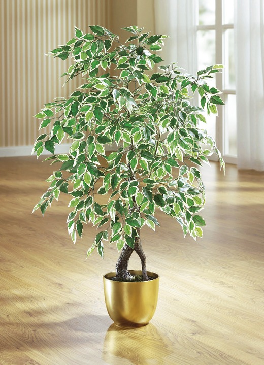 Kunst- & textielplanten - Ficus in pot, in Farbe GRÜN, in Ausführung groß Ansicht 1