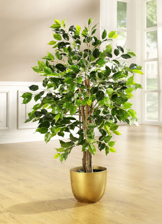 Kunst- & textielplanten - Ficus in pot, in Farbe GROENTE, in Ausführung klein Ansicht 1