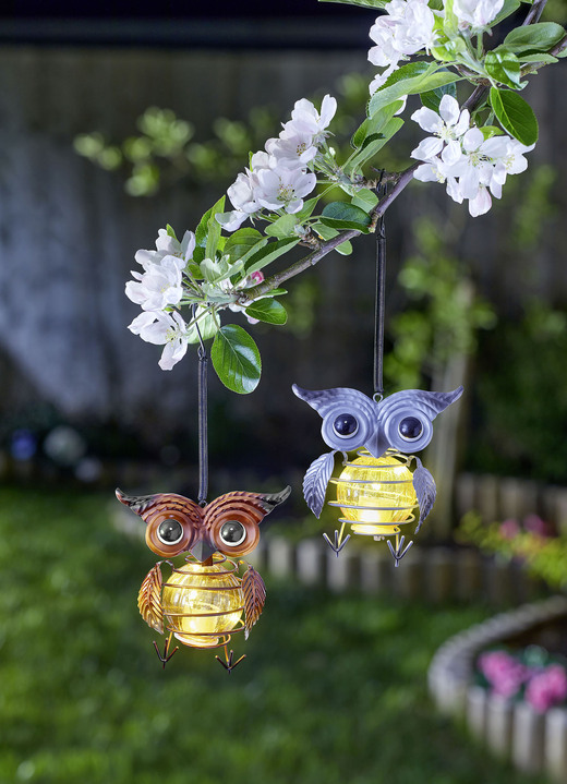 Tuinverlichting - Zonne-uilhangers, set van 2, in Farbe MULTICOLOR