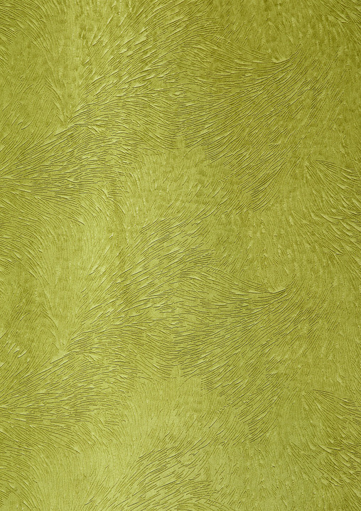 Grand foulards - Stoelhoes in fluweellook, in Farbe GRÜN Ansicht 1