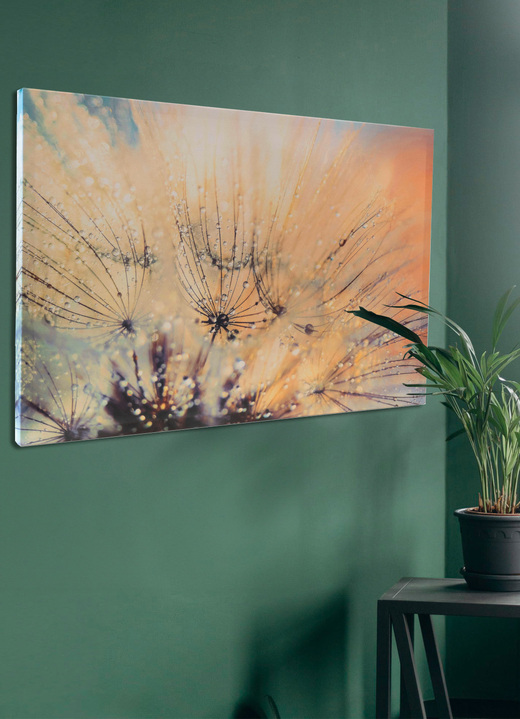 Schilderijen - Canvasfoto met certificaat, in Farbe BUNT Ansicht 1