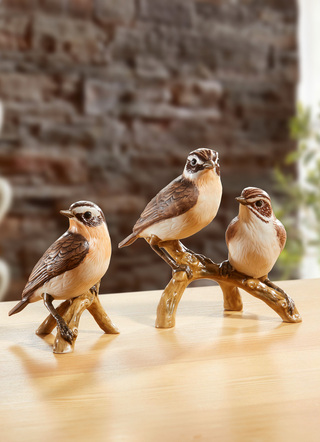Paapje - Vogel van het Jaar 2023