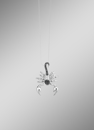 Stijlvolle hanger met schorpioen