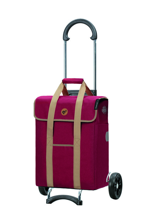 Mobiliteit - Lichte en stabiele winkelscooter Scala Shopper® Ipek Mi, in Farbe ROOD Ansicht 1