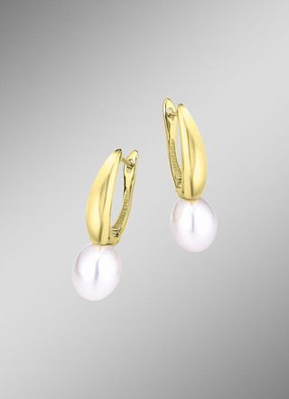 Oorbellen zilver 925/-