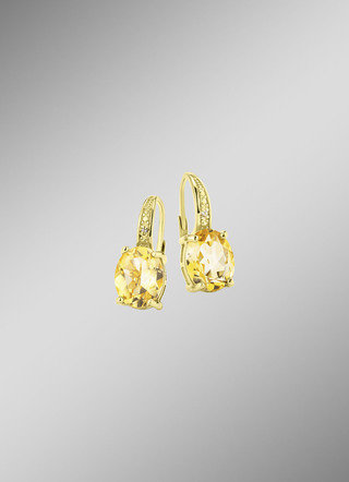 Oorbellen zilver 925/-