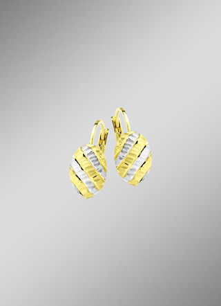 Oorbellen goud 375/-