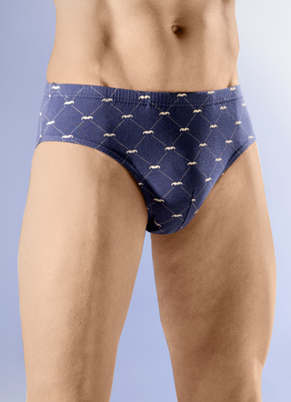 Set van vier slips met all-over print