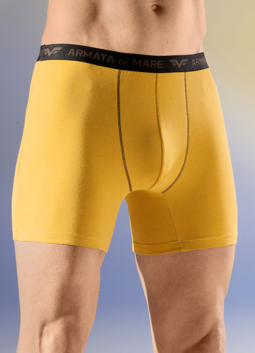 Pants & boxershorts - Set van vier broeken met elastische tailleband, in Größe 004 bis 011, in Farbe 2X OCKER, 2X BRAUN Ansicht 1