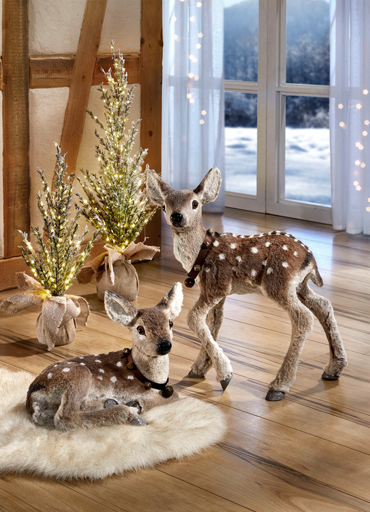 - Fawn - liegen, in Farbe BRUIN, in Ausführung liggend Ansicht 1
