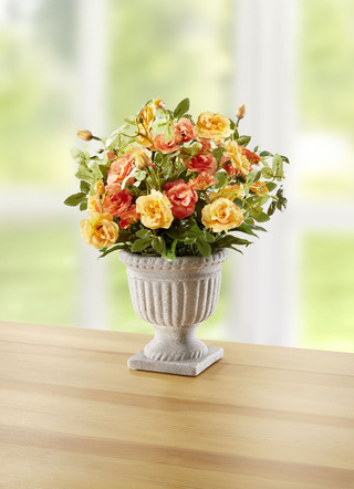 Wilde rozen in de beker