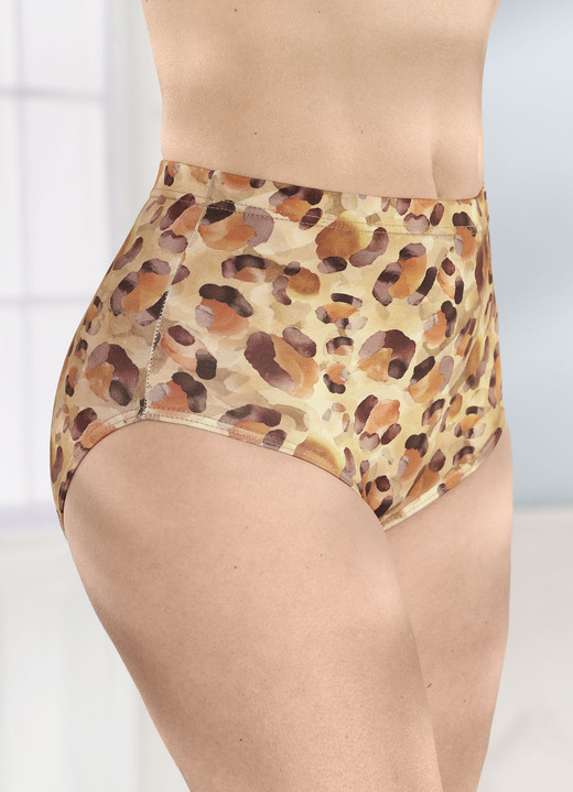 Slips - Drie pakjes slips, in Größe 038 bis 054, in Farbe 2X BEIGE-MOKKA-KLEURRIJK, 1X POEDER Ansicht 1