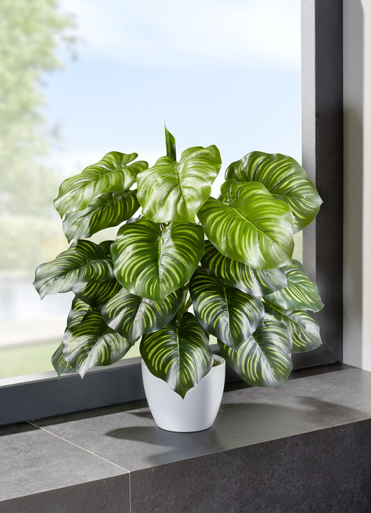 Kunst- & textielplanten - Marantastruik in witte keramische pot, in Farbe GRÜN