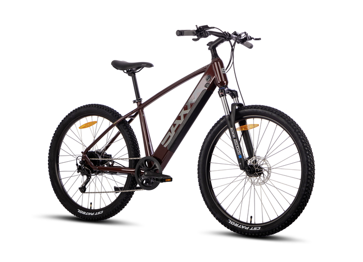 Elektromobielen - E-Mountainbike Everest 5.0, in Farbe BORDEAUX Ansicht 1