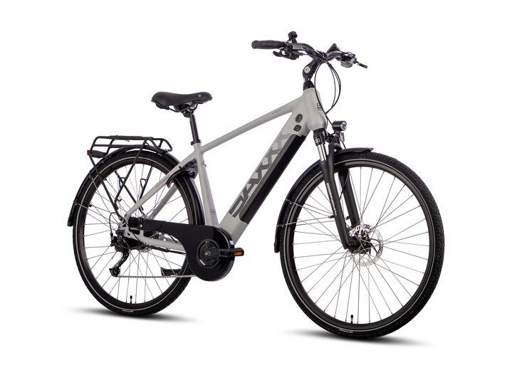 Elektromobielen - E-Trekkingfiets X-Road 5.0, in Farbe SILBER Ansicht 1