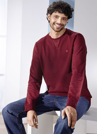 Sweatshirt in 3 kleuren