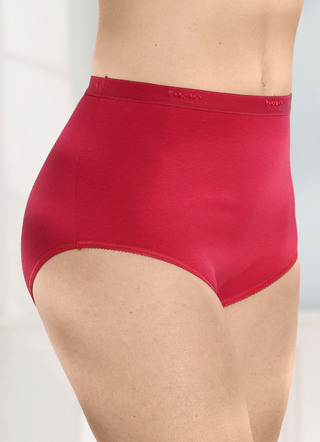 brio lingerie vijf-pack slips met elastische boorden