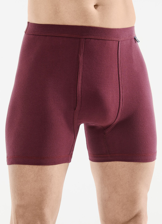 Slips & broeken - Pfeilring tweepack fijne ribonderbroeken, in Größe 005 bis 014, in Farbe 1X RUBINROT, 1X DUNKELGRAU Ansicht 1