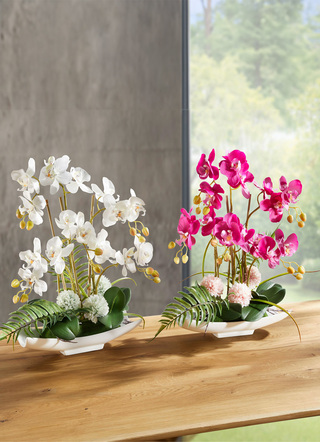Orchideeën arrangement in kom