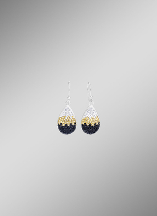 Schitterende oorhaakjes met Swarovski Elements