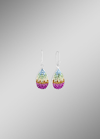 oorhaken met Swarovski-elementen