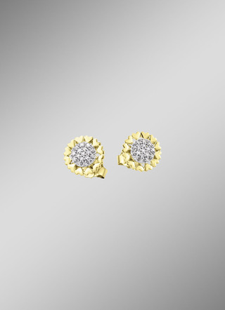 Oorknopjes goud 585/-