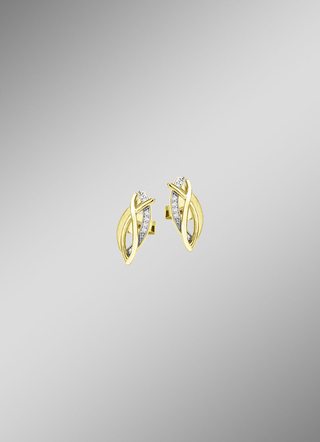 Elegante oorbellen