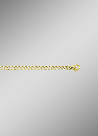 Gouden stoeprandketting