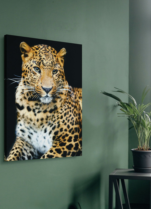 Dieren - Canvas schilderij op spieraam, in Farbe KLEURRIJK Ansicht 1