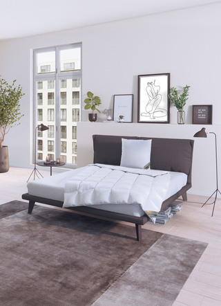 Heerlijk warm donzen dekbed serie Winter Dreams van Spessarttraum