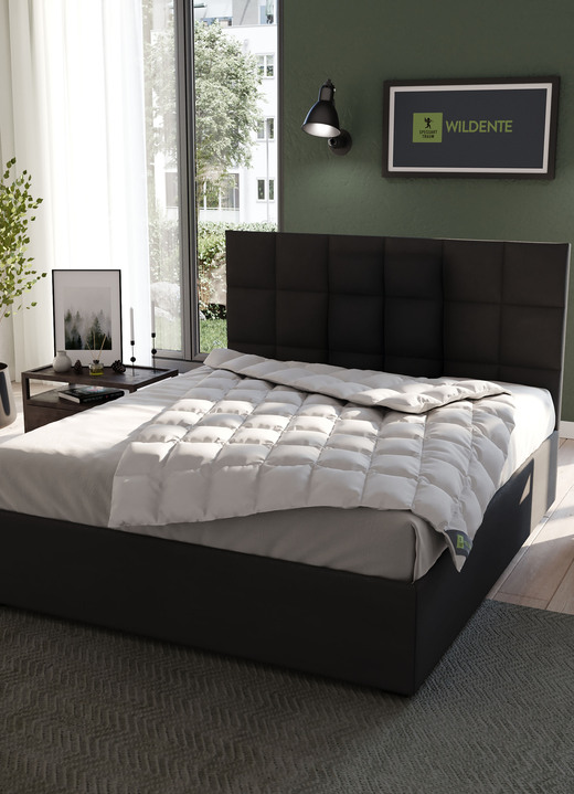 Dekbedden e.d. - Hoogwaardig beddengoedassortiment wilde eendendons van Spessarttraum - de beste kwaliteit voor een goede nachtrust, in Größe 103 (135/200 cm) bis 117 (160/210 cm), in Farbe ZILVER, in Ausführung Extra licht Ansicht 1