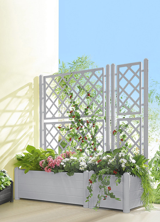 Zonwering - Plantenbak met traliewand, in Farbe STEENGRIJS, in Ausführung Plantenbak klein Ansicht 1