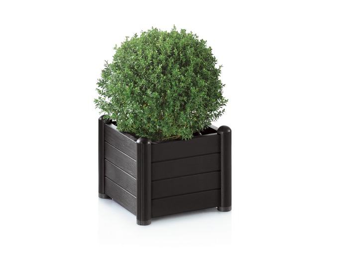 Plantenbakken - Plantenbak van weerbestendig kunststof, in Farbe ANTRACIET, in Ausführung Plantenbak klein Ansicht 1