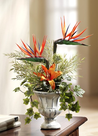 Strelitzia-bloemstuk in pot