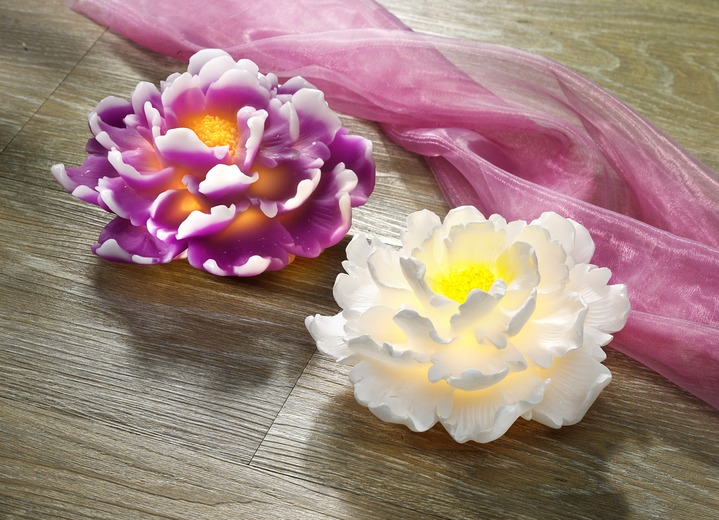 Woonaccessoires - Kunststof LED-chrysant, in Farbe WIT