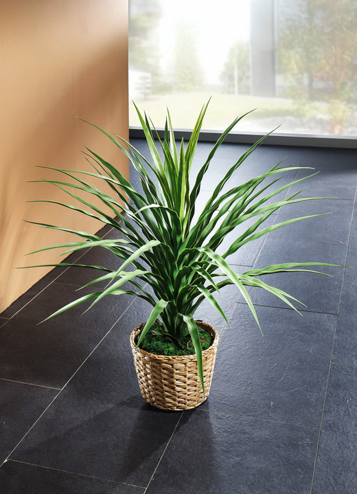 Kunst- & textielplanten - Olifantspoot in een pot, in Farbe GROENTE