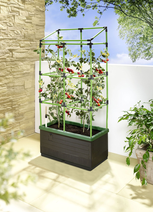 Plantenbakken - City Jungle traliewerkdoos, in Farbe ANTRACIETGROEN Ansicht 1