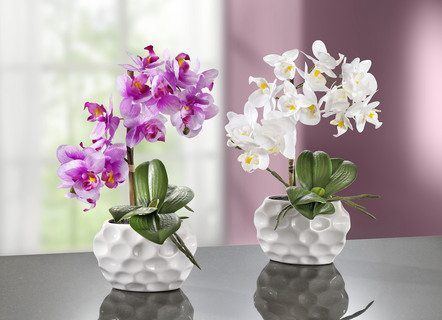 Orchideeënarrangement in keramieken vaas