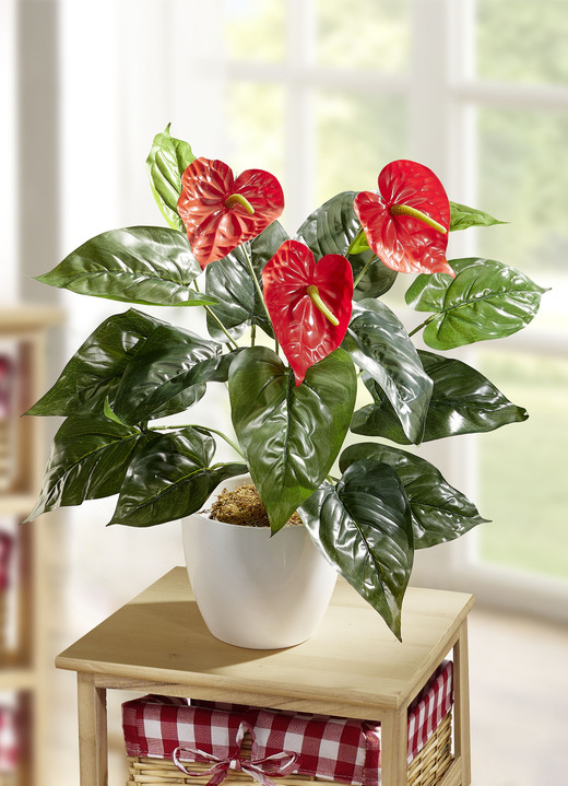 Kunst- & textielplanten - Anthurium in de pot, in Farbe GROEN-ROOD