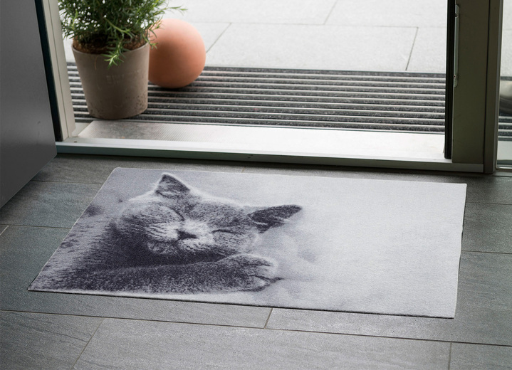 - Deurmat geschikt voor vloerverwarming, in Größe 100 (40 x 60 cm) bis 103 (50 x 70 cm), in Farbe GRIJS Ansicht 1