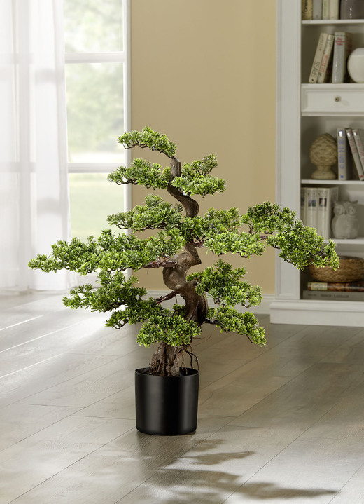 Kunst- & textielplanten - Theebladbonsai gemaakt van hoogwaardig kunstmateriaal, in Farbe GROEN