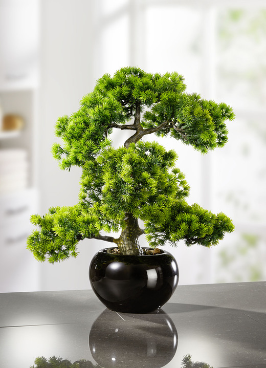 Kunst- & textielplanten - Lariksbonsai in zwarte keramische pot, in Farbe GROEN