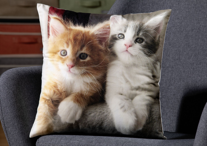 Decoratiekussens & slopen - Kussenhoes met kittenmotief in fluweellook, in Farbe MULTICOLOR Ansicht 1