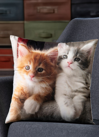 Kussenhoes met kittenmotief in fluweellook