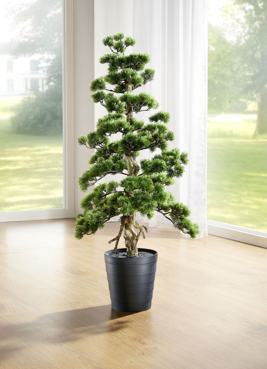 Kunst- & textielplanten - Dennen bonsai, in Farbe GROENTE