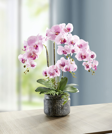Orchideeën arrangement in een pot